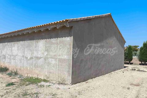 Landejendom i Caudete, Albacete, Caudete - € 95.000 | Ref: SF0539 - foto 3